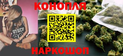 крисы Ставрополь