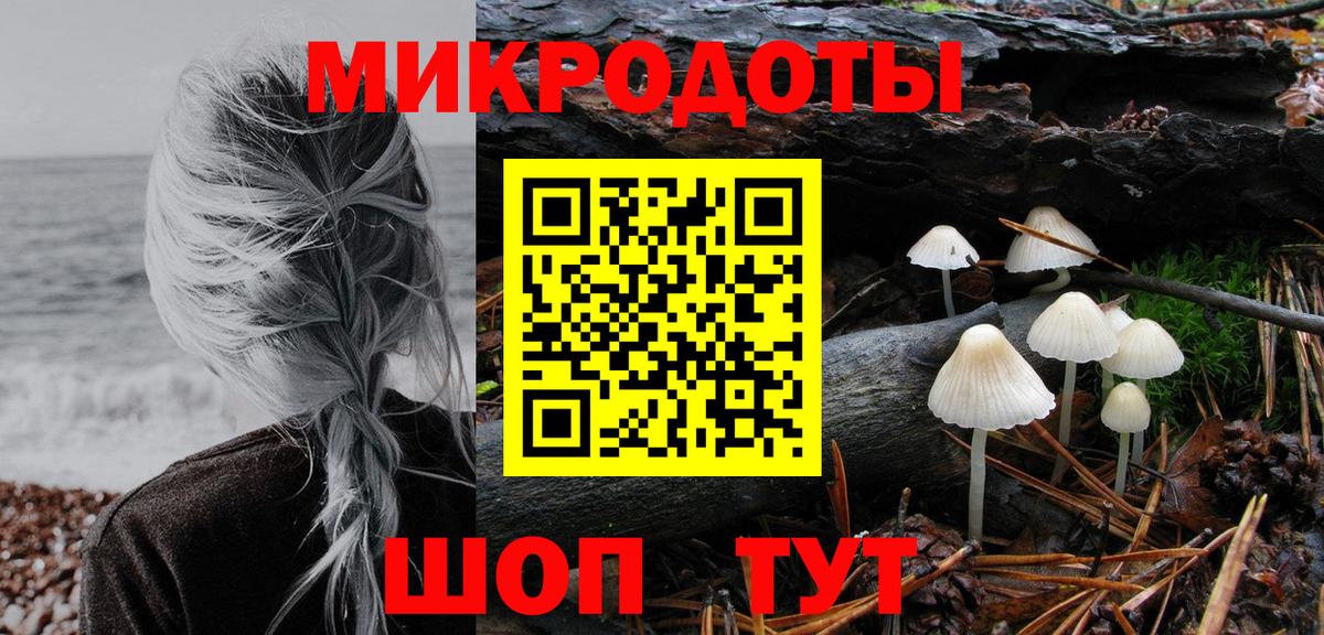 Псилоцибиновые грибы мицелий Ногинск