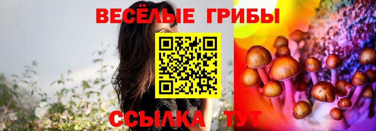 Галлюциногенные грибы Psilocybine cubensis  цены   Вход с VPN  Ногинск  Галлюциногенные грибы Cubensis 